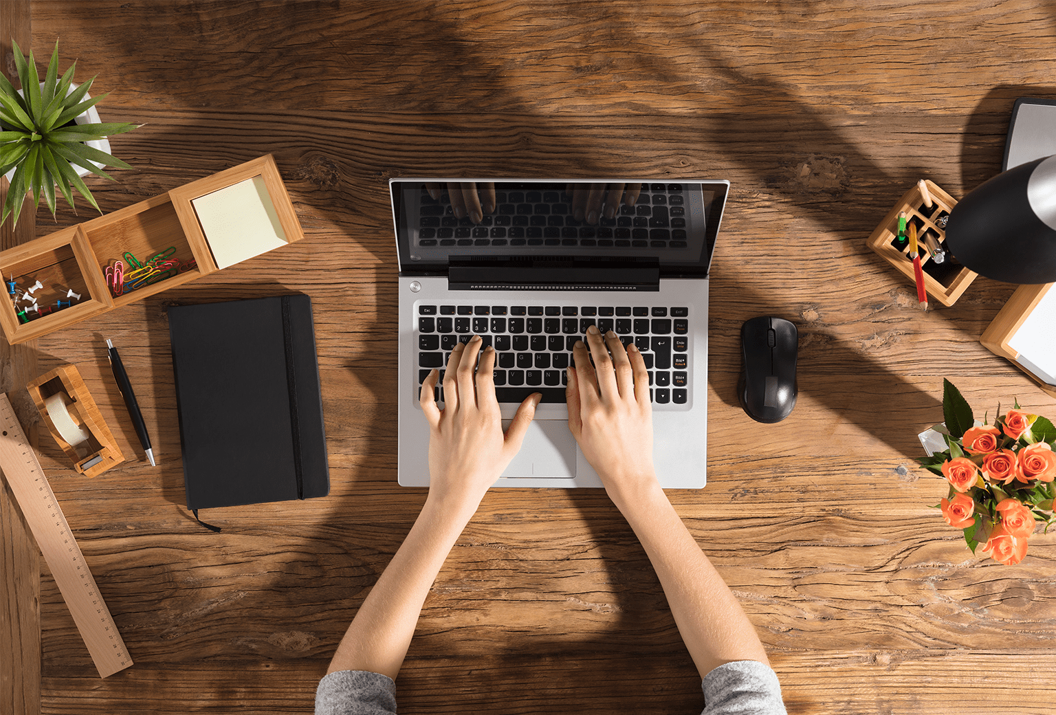 hero image colliersviewpoint 022222